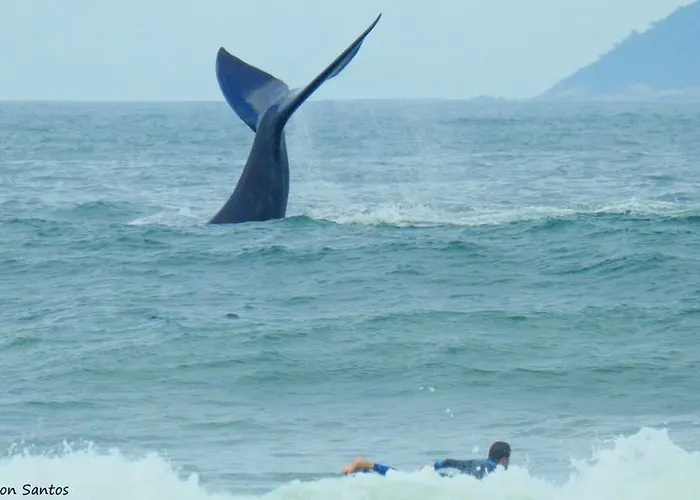 Tranquilidade Na Praia Da Gamboa